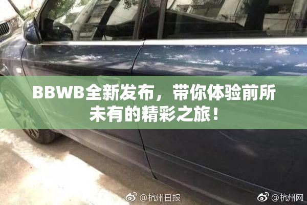 BBWB全新发布，带你体验前所未有的精彩之旅！