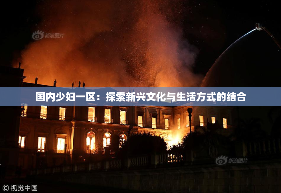 国内少妇一区：探索新兴文化与生活方式的结合
