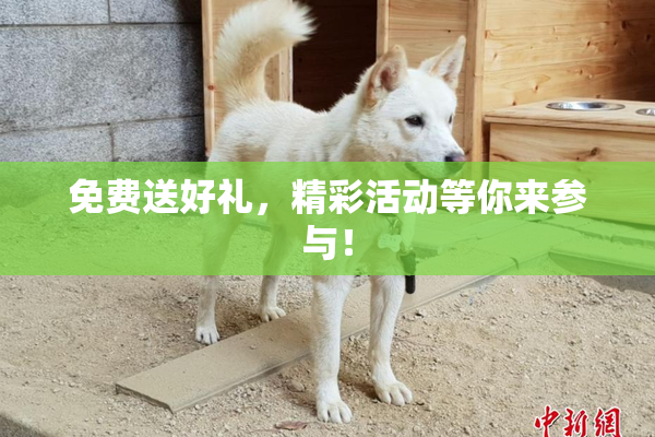 免费送好礼，精彩活动等你来参与！