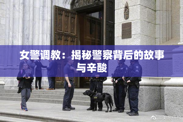 女警调教：揭秘警察背后的故事与辛酸