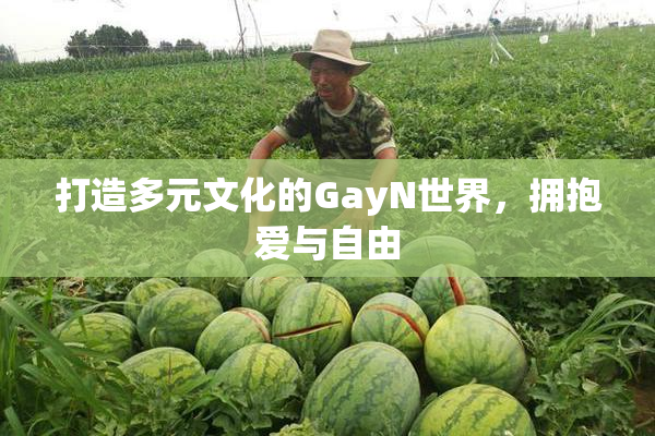 打造多元文化的GayN世界，拥抱爱与自由