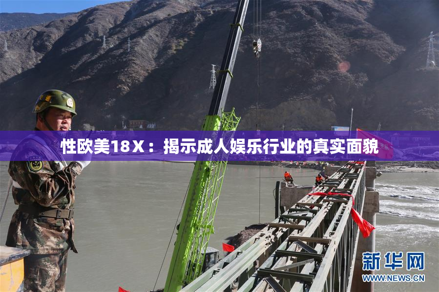 性欧美18Ⅹ：揭示成人娱乐行业的真实面貌