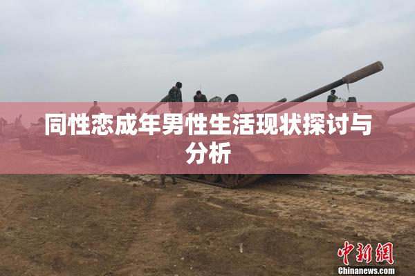 同性恋成年男性生活现状探讨与分析