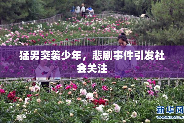 猛男突袭少年，悲剧事件引发社会关注