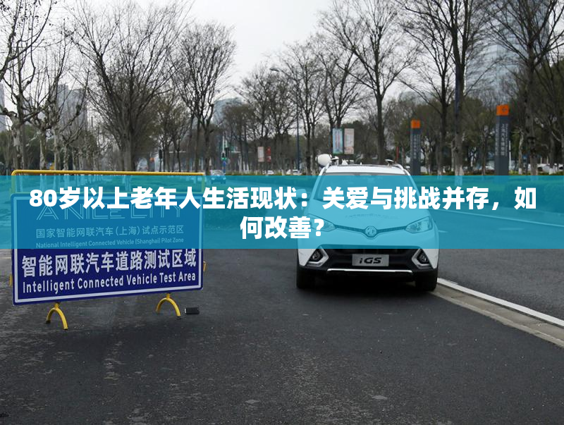80岁以上老年人生活现状：关爱与挑战并存，如何改善？