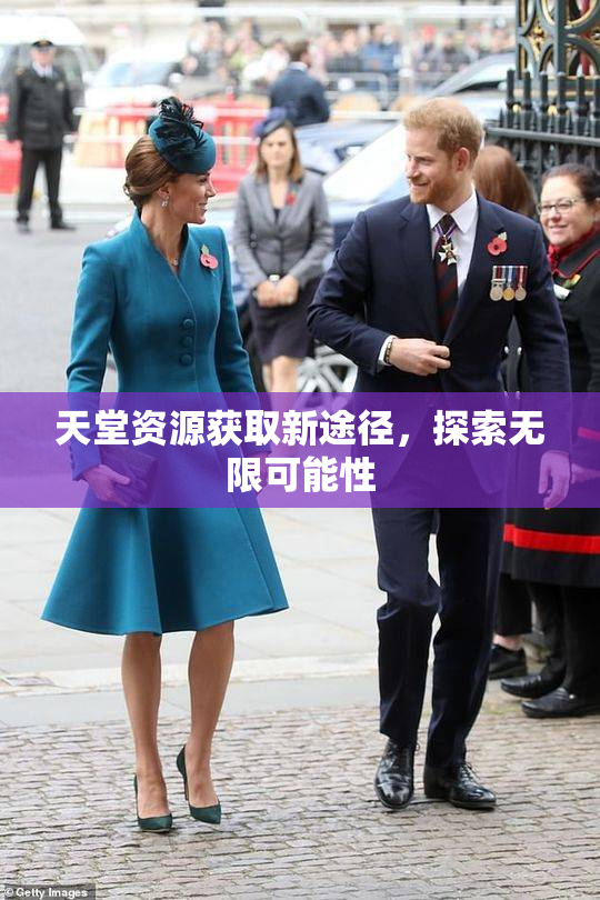 天堂资源获取新途径，探索无限可能性
