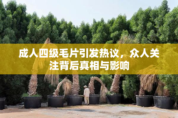 成人四级毛片引发热议，众人关注背后真相与影响