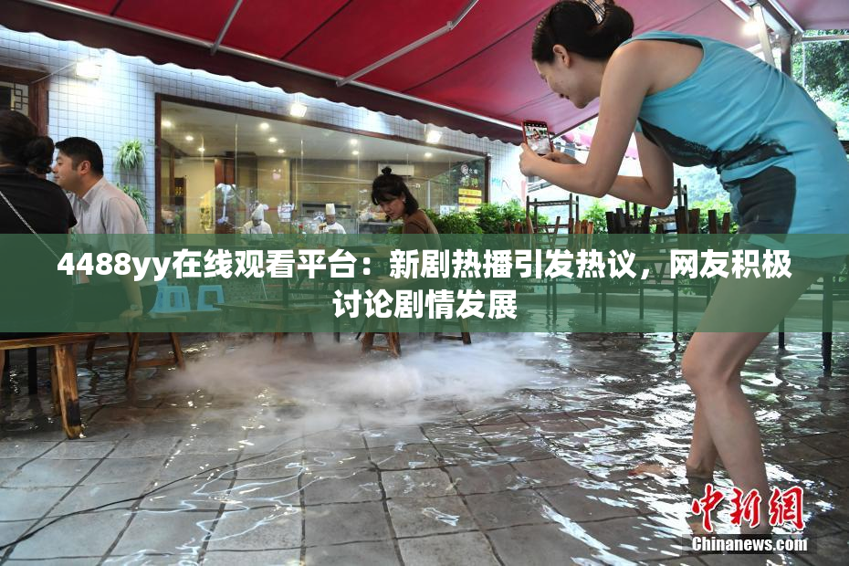 4488yy在线观看平台：新剧热播引发热议，网友积极讨论剧情发展