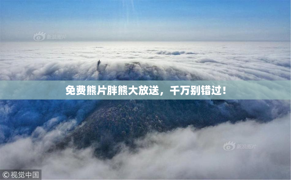 免费熊片胖熊大放送，千万别错过！