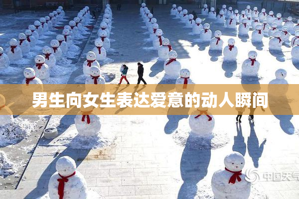 男生向女生表达爱意的动人瞬间