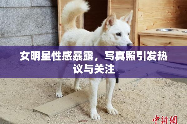 女明星性感暴露，写真照引发热议与关注