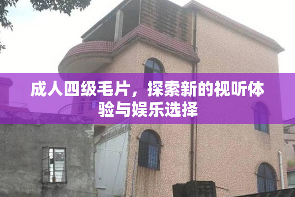 成人四级毛片，探索新的视听体验与娱乐选择