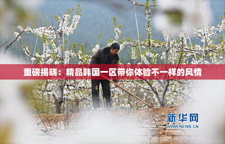 重磅揭晓：精品韩国一区带你体验不一样的风情