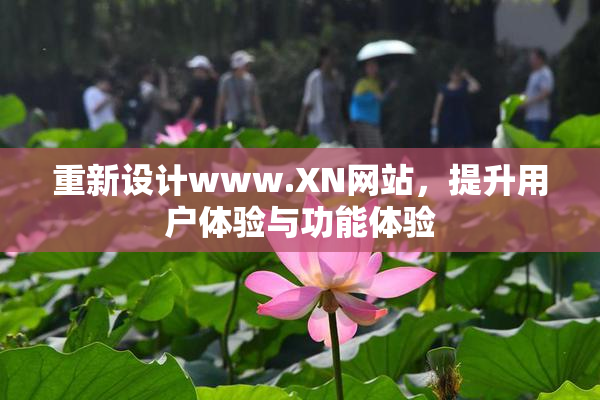重新设计www.XN网站，提升用户体验与功能体验