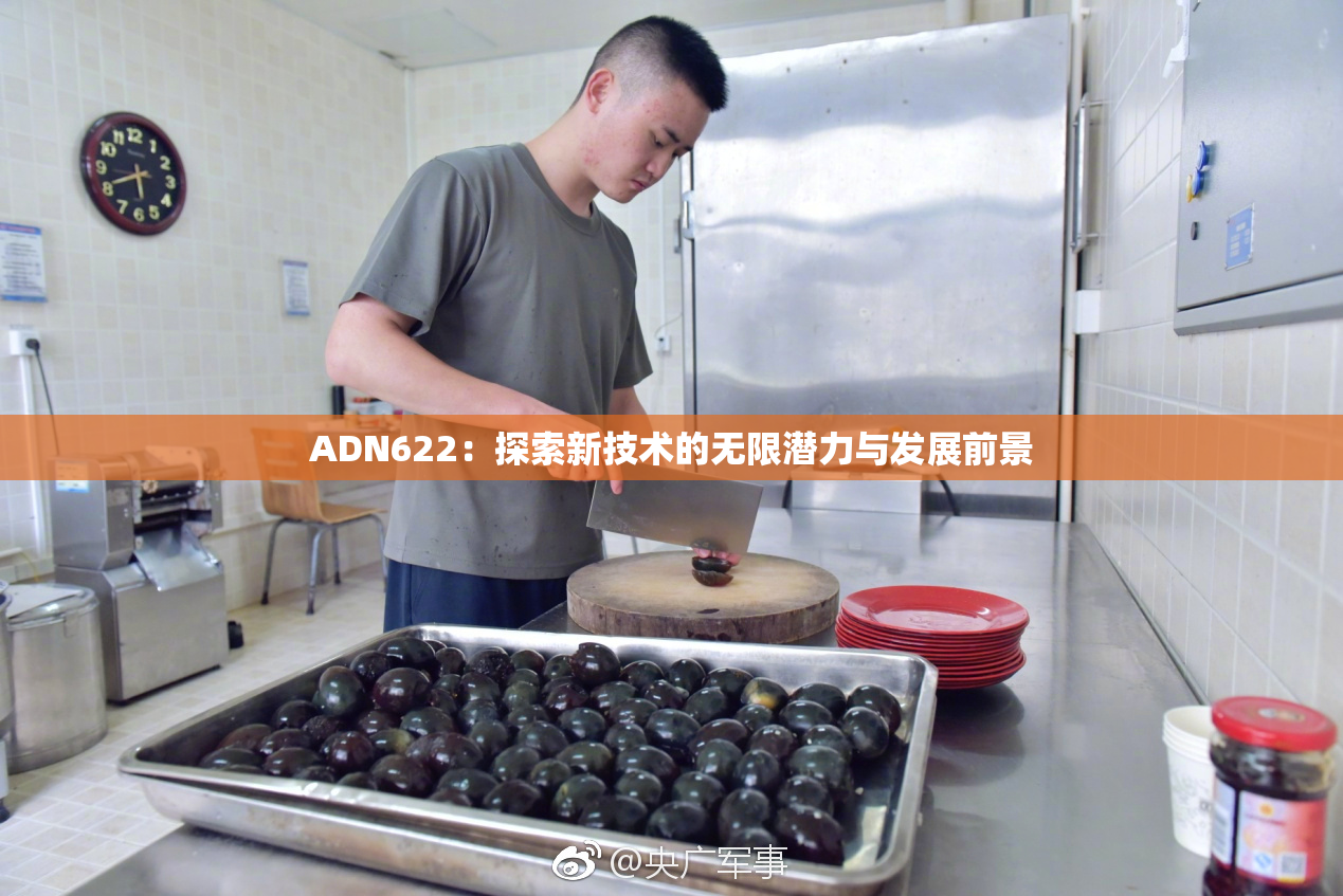 ADN622：探索新技术的无限潜力与发展前景