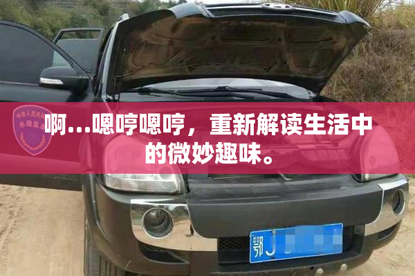啊…嗯哼嗯哼，重新解读生活中的微妙趣味。