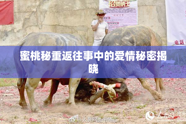 蜜桃秘重返往事中的爱情秘密揭晓