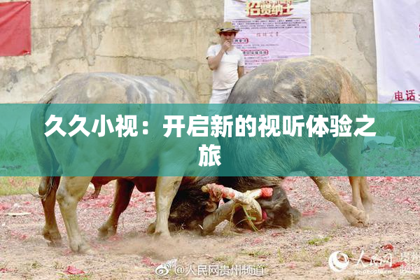 久久小视：开启新的视听体验之旅