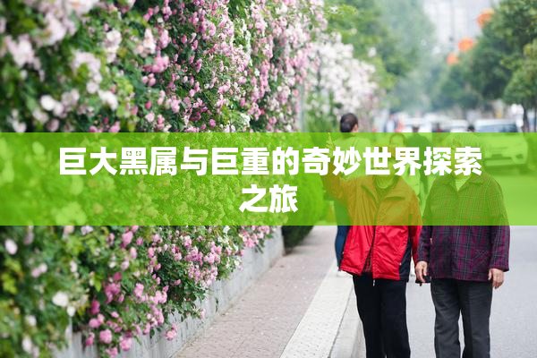 巨大黑属与巨重的奇妙世界探索之旅