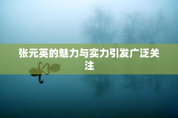 张元英的魅力与实力引发广泛关注