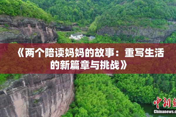 《两个陪读妈妈的故事：重写生活的新篇章与挑战》