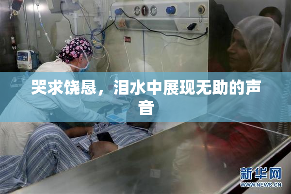 哭求饶恳，泪水中展现无助的声音