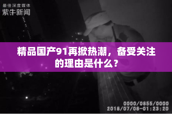 精品国产91再掀热潮，备受关注的理由是什么？
