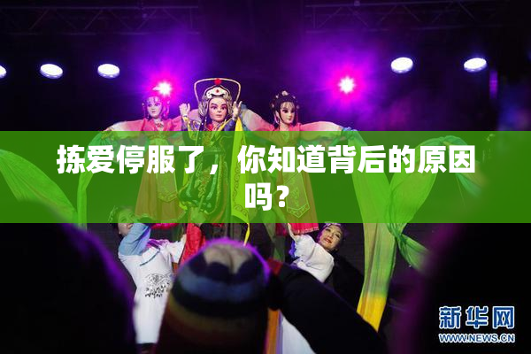 拣爱停服了，你知道背后的原因吗？