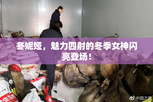 冬妮娅，魅力四射的冬季女神闪亮登场！