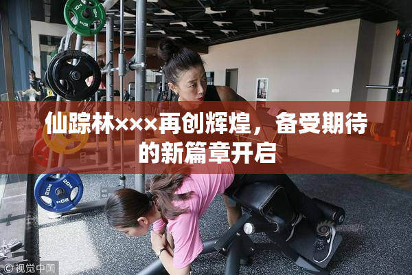 仙踪林×××再创辉煌，备受期待的新篇章开启