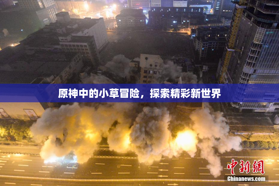 原神中的小草冒险，探索精彩新世界