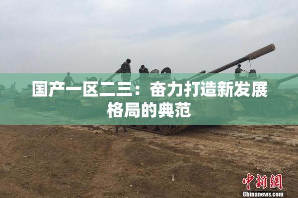 国产一区二三：奋力打造新发展格局的典范