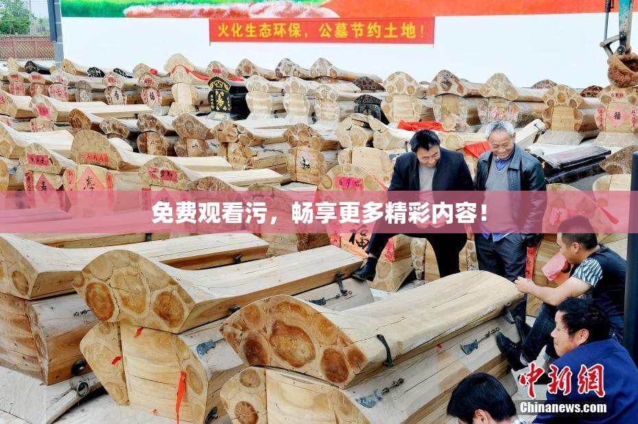 免费观看污，畅享更多精彩内容！