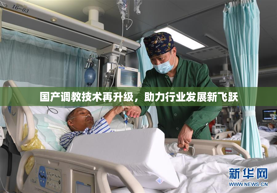 国产调教技术再升级，助力行业发展新飞跃