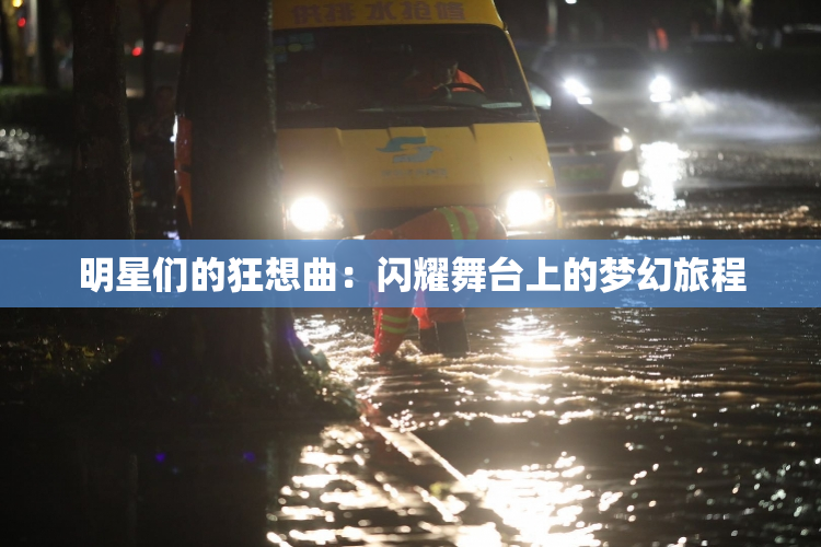 明星们的狂想曲：闪耀舞台上的梦幻旅程