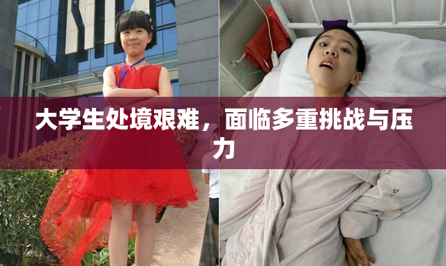 大学生处境艰难，面临多重挑战与压力