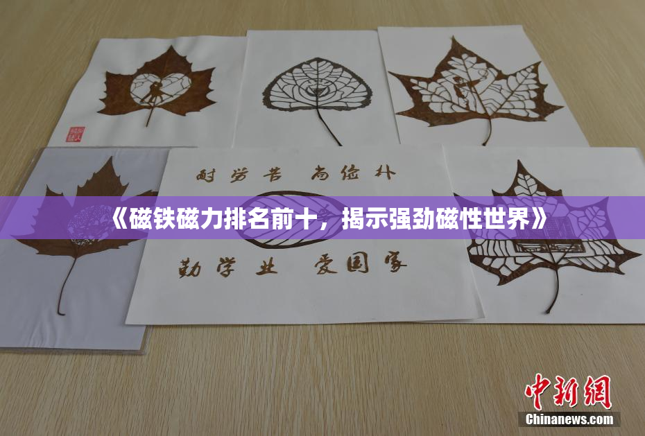 《磁铁磁力排名前十，揭示强劲磁性世界》