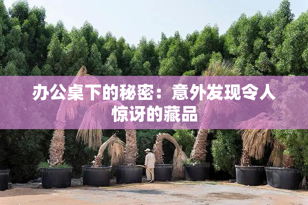 办公桌下的秘密：意外发现令人惊讶的藏品