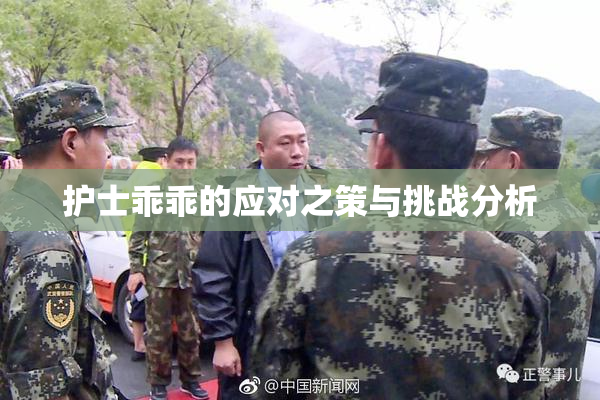 护士乖乖的应对之策与挑战分析