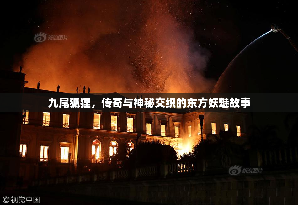 九尾狐狸，传奇与神秘交织的东方妖魅故事