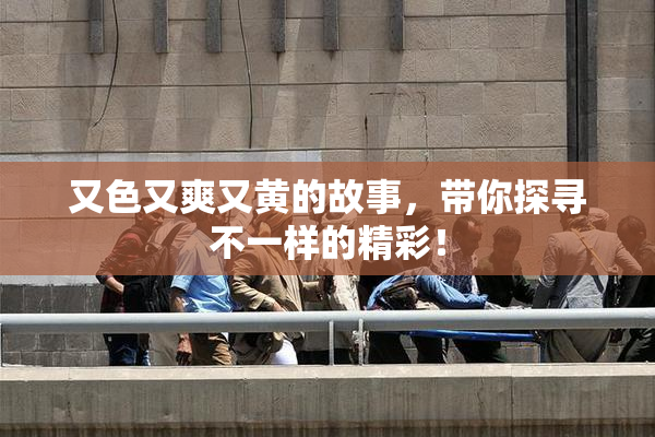 又色又爽又黄的故事，带你探寻不一样的精彩！