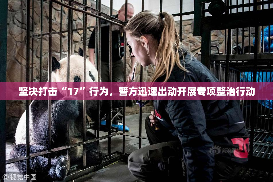 坚决打击“17”行为，警方迅速出动开展专项整治行动