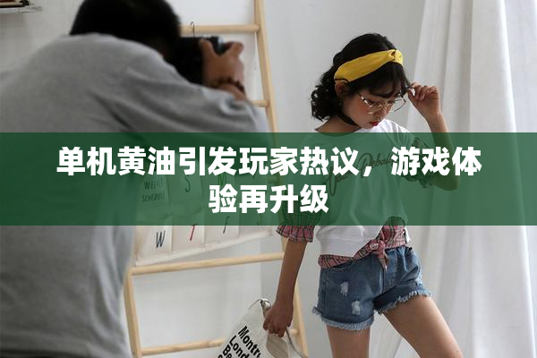 单机黄油引发玩家热议，游戏体验再升级