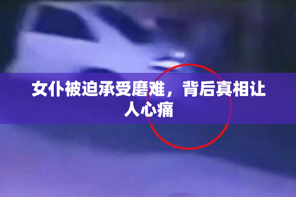 女仆被迫承受磨难，背后真相让人心痛