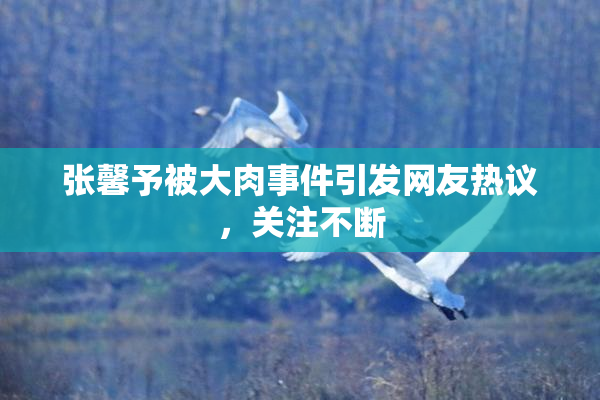 张馨予被大肉事件引发网友热议，关注不断