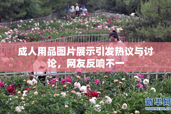 成人用品图片展示引发热议与讨论，网友反响不一