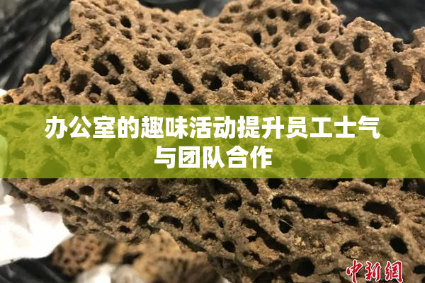 办公室的趣味活动提升员工士气与团队合作