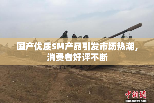 国产优质SM产品引发市场热潮，消费者好评不断