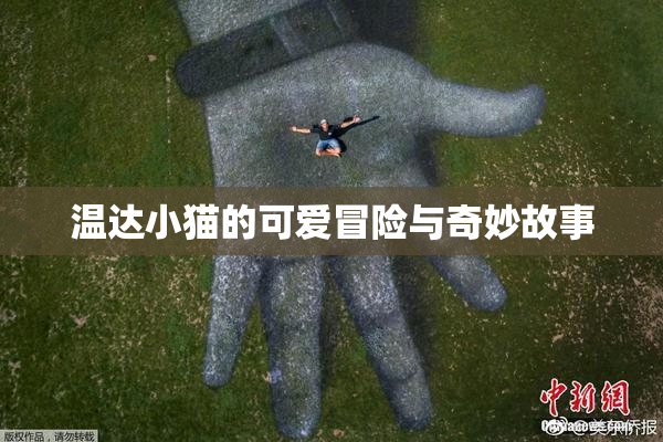 温达小猫的可爱冒险与奇妙故事