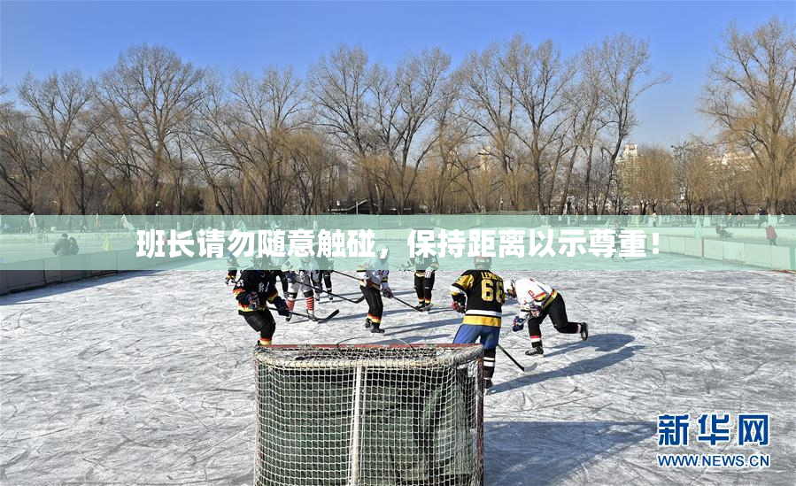 班长请勿随意触碰，保持距离以示尊重！